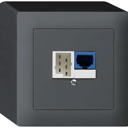 Scatola DSL AP 1×RJ45/1×T+T antracite 