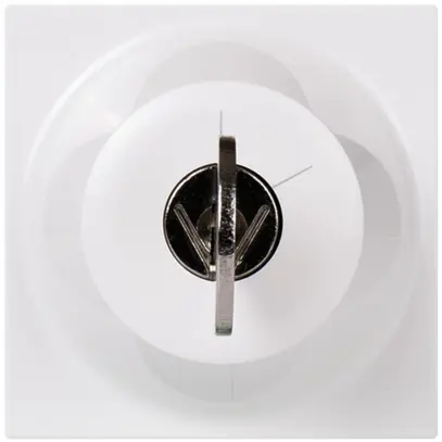 Interruttore a chiave INS MOS SS/Ronis bianco 2 moduli 1-2 