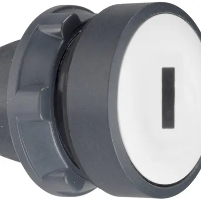 Parte frontale per pulsante lum. Schneider Electric bianco 