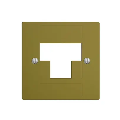 Placca frontale 2×RJ45 ITplus EDIZIOdue olive 