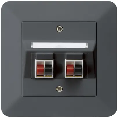 Prise ENC audio kallysto.trend 2× anthracite borne à étrier pour 2 haut-parleurs 