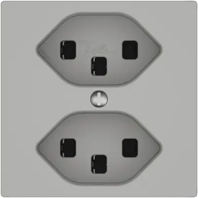 Presa EDIZIO.liv SNAPFIX® 2×T23 grc 