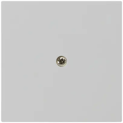 Plaque frontale kallysto 60×60mm gris clair pour élément de puissance 