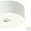 AP-LED-Sicherheitsleuchte AWIL-DL-421-AT Ø100mm 3.7W 230VAC 1h 240lm 