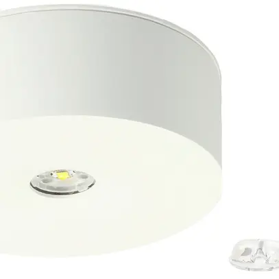AP-LED-Sicherheitsleuchte AWIL-DL-421-AT Ø100mm 3.7W 230VAC 1h 240lm 