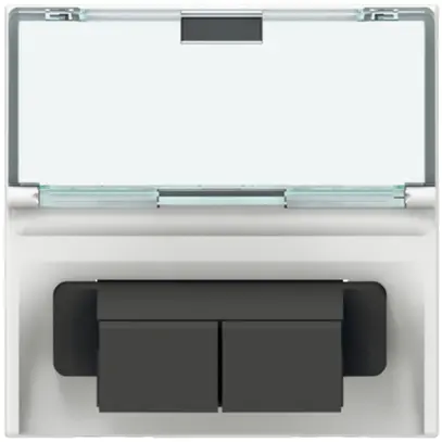 Prise fibre optique INC MOS 2×SC blanc 2modules 