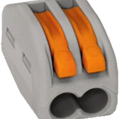 Borne WAGO pour luminaire 2P 0.08…2.5mm² gris 