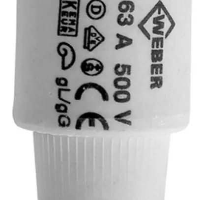 Fusibile D DIII 35A 500V nero gG 