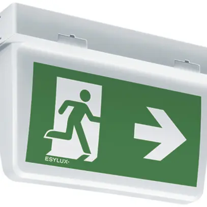 Lampada di emergenza ESYLUX SLX 32 LEDi HighCover 24…230V bianco 