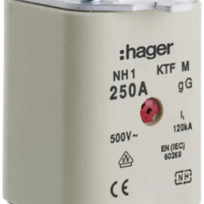 Fusible HPC Hager DIN1c 500VAC 125A gG/gL avertisseur double antirouille 