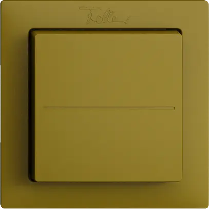 Poussoir RF Bluetooth Feller EDIZIOdue F, Low Energy, 2c/1t, sans piles, ov 