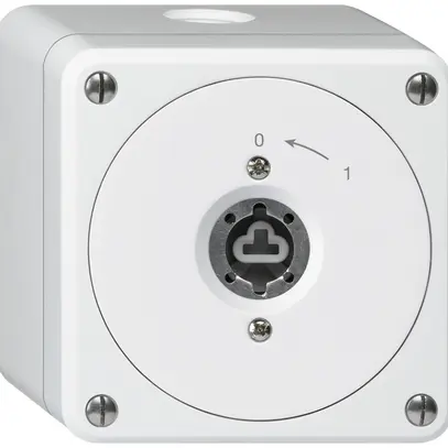 Contatto rotativo a chiave AP robusto bianco senza coperchio senza cilindro 2P 