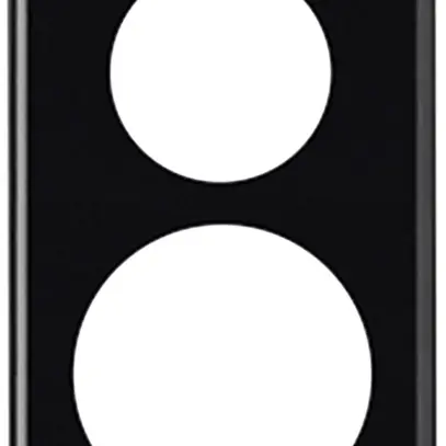 Plaque de recouvrement basico 2×1 Ø43mm+Ø58mm noir 
