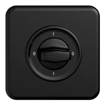 Interrupteur rot.ENC STANDARDdue 0/3L noir, a.manette 