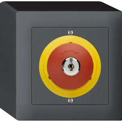 Contatto rota.c.chiave AP kallysto ARRESTO DI EMERGENZA antracite 