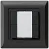 Pulsante universale INC 4×kallysto.line senza LED nero 