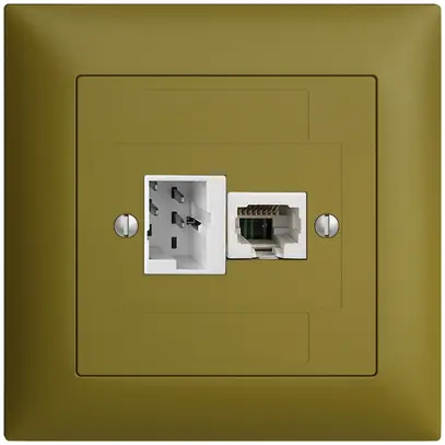 Boîte de raccordement ENC 1×TT,1×RJ45/u 4P EDIZIOdue ITplus ITM olive 