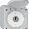 Interruttore a chiave AP robusto IP55 con copertura S0/1P grigio 