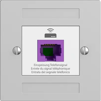 Prise de retour EDIZIOdue F 1×RJ45 p.Swisscom VoIP, 8 pôles, UTP, gris clair 