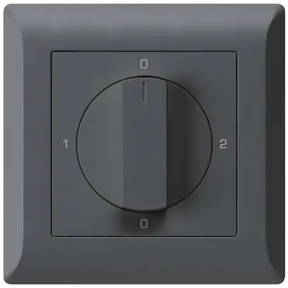 Interruttore rotativo INC kallysto.line 2/1L antracite con manopola 