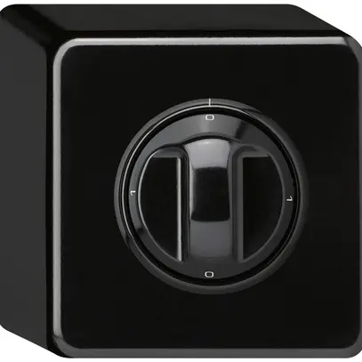 Interruttore rotativo AP basico 0/1L nero con manopola 