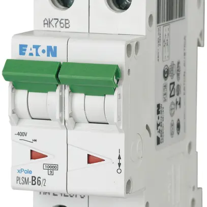 Disgiuntore PLSM-D6 2L 