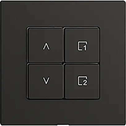 Interrupteur stores 1K/4T scène WLAN Edue Wiser noir 