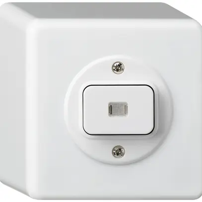 Interruttore AP basico luminoso 3/1L bianco 