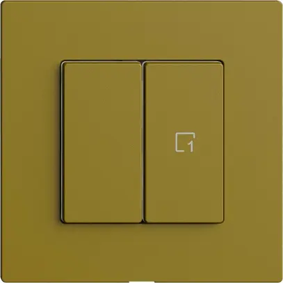 Interruttore 1K/2T scena Edue Wiser olive 