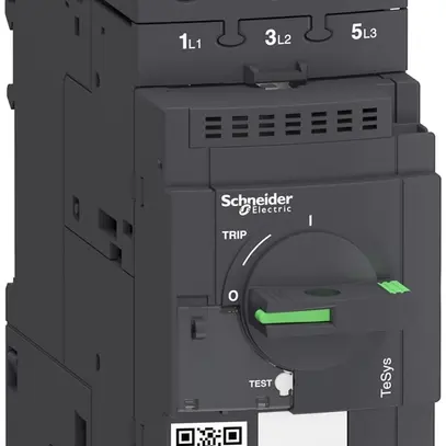 Salvamotore Schneider Electric GV3L65 65A 