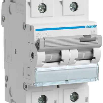 Disgiuntore Hager MCB 2P 400V tipo C 125A Icn 15kA 3UM 