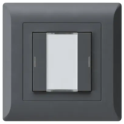 Poussoir ENC kallysto.line KNX 2×LED RGB s/e-link anthracite 