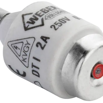 Fusible D Hager DTI 2A 250V retardé protection complète 