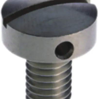 Vis plombable Woertz M6×10mm 