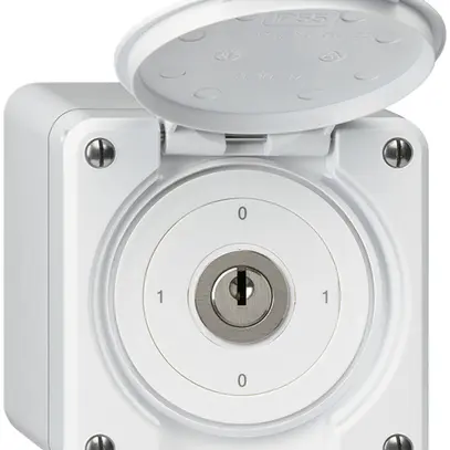 Interruttore a chiave AP robusto IP55 con copertura S0/1P bianco 