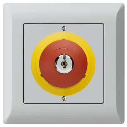 Contatto rotativo a chiave INC kallysto.line ARRESTO DI EMERGENZA grigio chiaro 