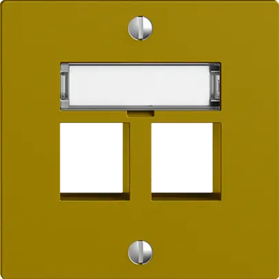 Kit montaggio EDIZIOdue F, uscita dritta, per 2×Keystone, olive 