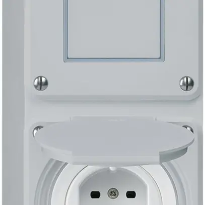 Combi AP 2×1 HA robusto schéma 3/type 15 bornes enfichables avec couvercle gris 