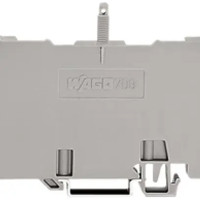 Support WAGO pour profilé de recouvrement type 1 pour 709-153 