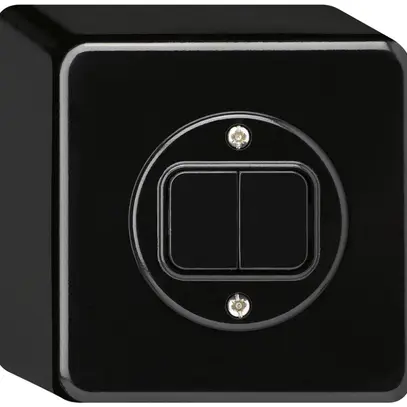 Pulsante AP basico 2×AR/1L nero 