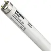 Lampada UV F T12 G13 20W BL368, protezione antischeggia 