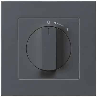 UP-SchwenkTaster 0<-1/1L anthrazit kallysto.pro mit Drehgriff 