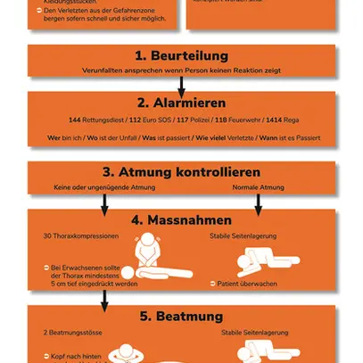 Pannello di pronto soccorso ELBRO 220×580mm tedesco 