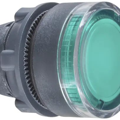 Parte frontale per pulsante lum. Schneider Electric verde 