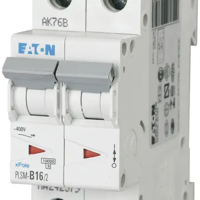 Disgiuntore PLSM-B16 2L 