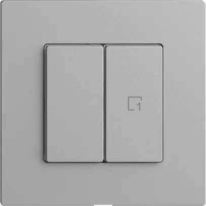Interrupteur 1K/2T scène Edue Wiser silver 