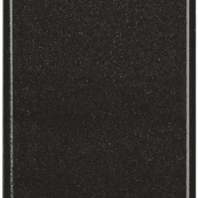 Bascule Axolute pour 1 module anthracite sans symbole 