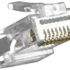 Spina di serraggio RJ45 FANTON cat.5e non schermato dorato 100×RJ45 in sacchetto 