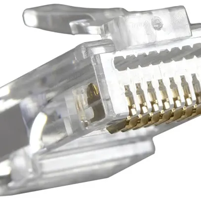 Spina di serraggio RJ45 FANTON cat.5e non schermato dorato 100×RJ45 in sacchetto 