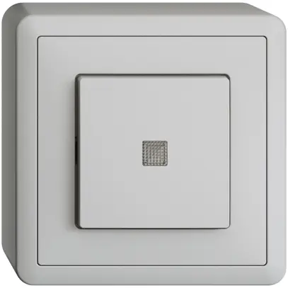 Interr. puls. lum. AP EDIZIOdue 3/2L grigio chiaro, con lente, LED giallo 